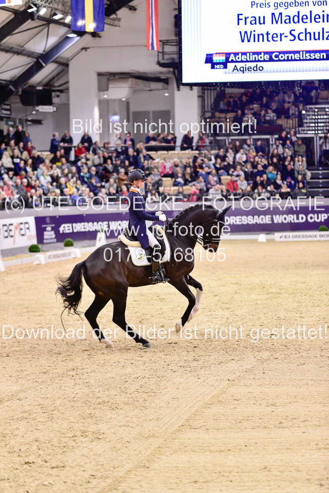Cornelissen,-Adelinde---Aqiedo_28.jpg
