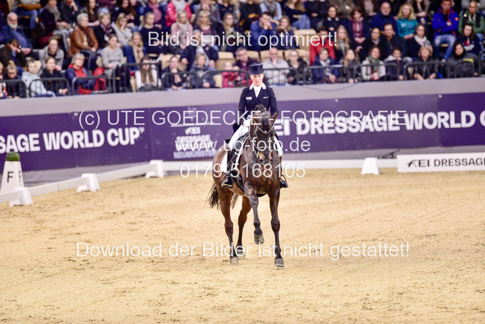 Langehanenberg,-Helen---Damsey_46.jpg