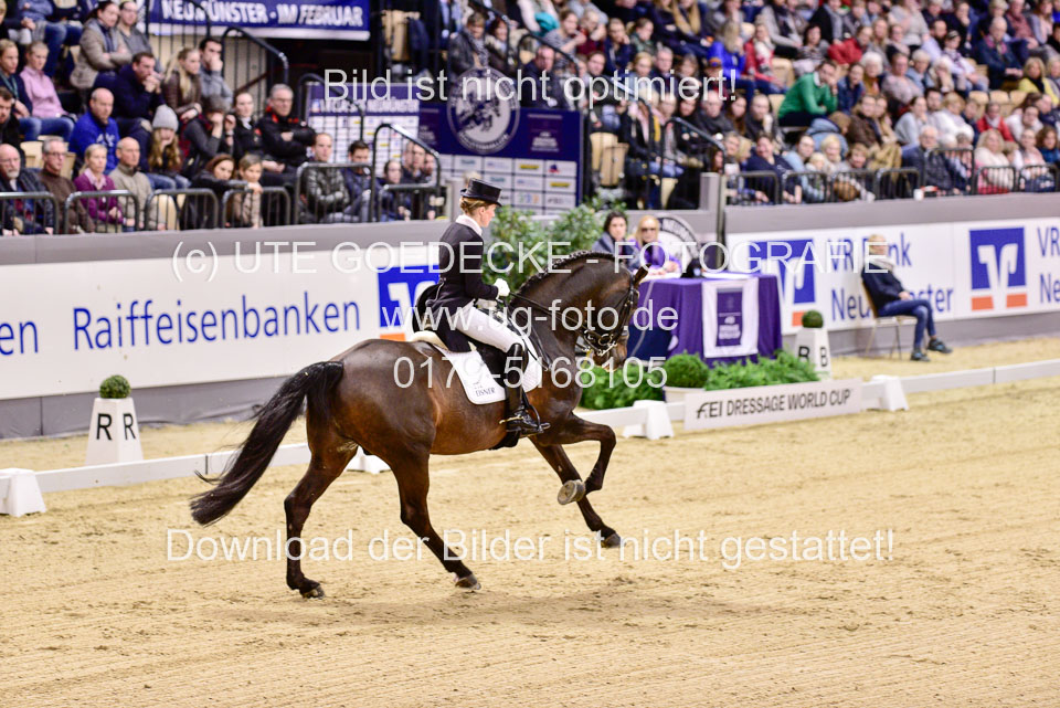 Langehanenberg,-Helen---Damsey_52.jpg