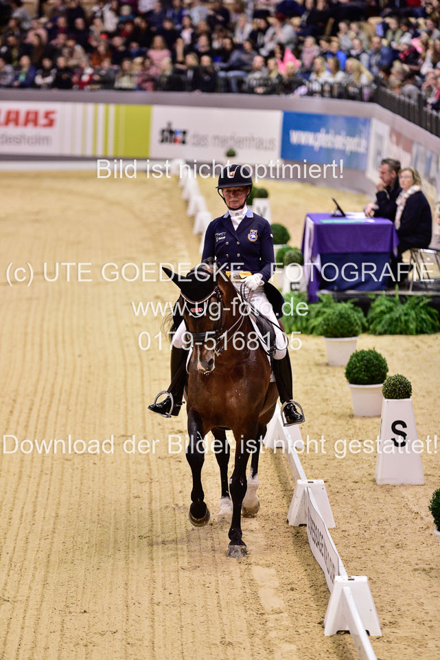 Mathisen,-Rose---Zuidenwind_05.jpg