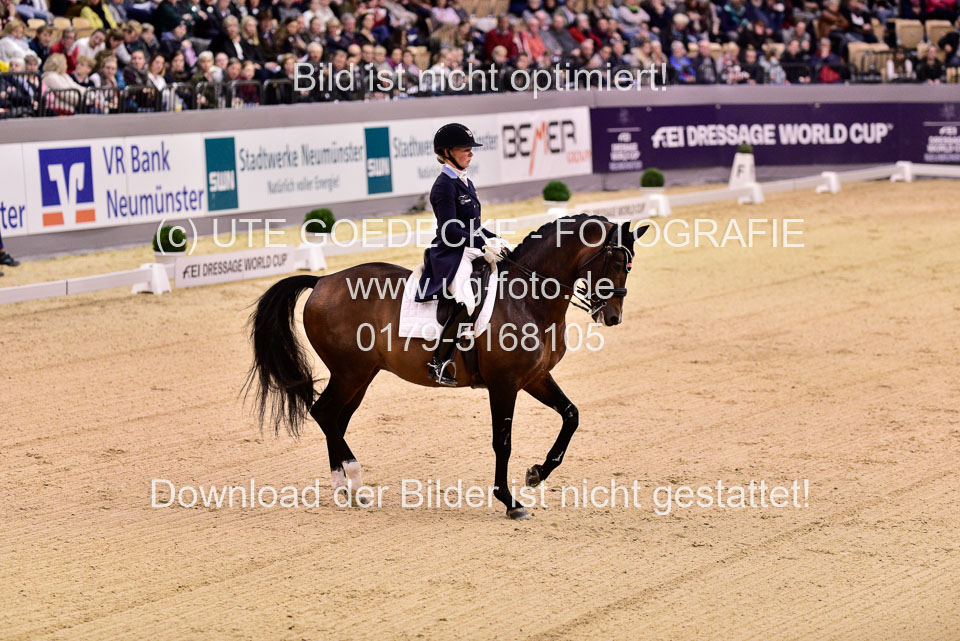 Mathisen,-Rose---Zuidenwind_24.jpg