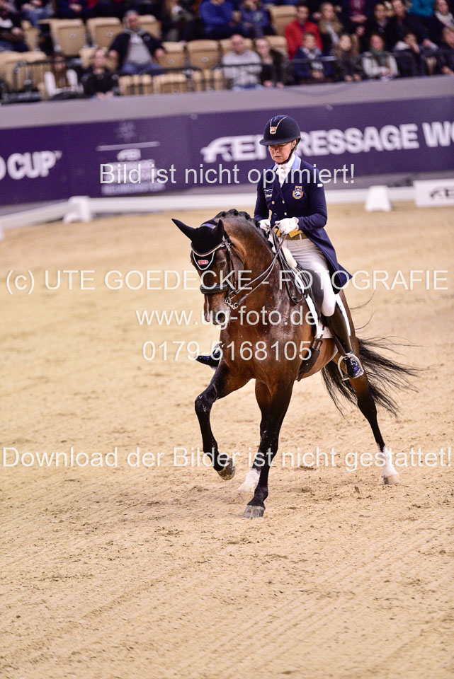 Mathisen,-Rose---Zuidenwind_38.jpg