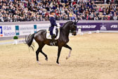 Dressur Qualifikation