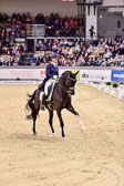 Cornelissen,-Adelinde---Aqiedo_22.jpg