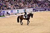 Dressur Qualifikation
