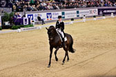 Langehanenberg,-Helen---Damsey_59.jpg