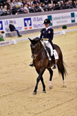 Dressur Qualifikation