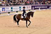 Mathisen,-Rose---Zuidenwind_24.jpg
