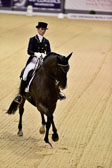 Reynolds,-Judy---Vancouver-K_21.jpg