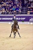Reynolds,-Judy---Vancouver-K_34.jpg