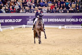 Dressur Qualifikation