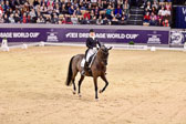 Werth,-Isabell---Weihegold-OLD_06.jpg