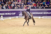 Werth,-Isabell---Weihegold-OLD_16.jpg