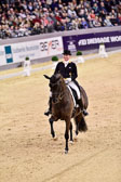 Werth,-Isabell---Weihegold-OLD_76.jpg