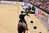 Werth,-Isabell---Weihegold-OLD_85.jpg