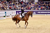 Zweistra,-Thamar---Hexagons-Double-Dutch_18.jpg