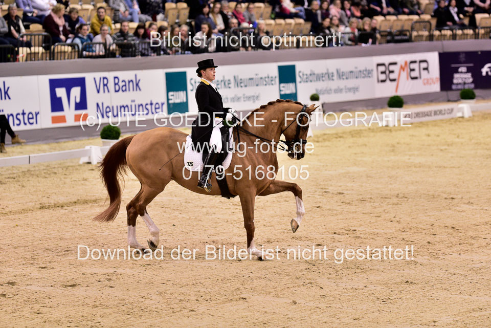 Werth,-Isabell---Quintus_01.jpg
