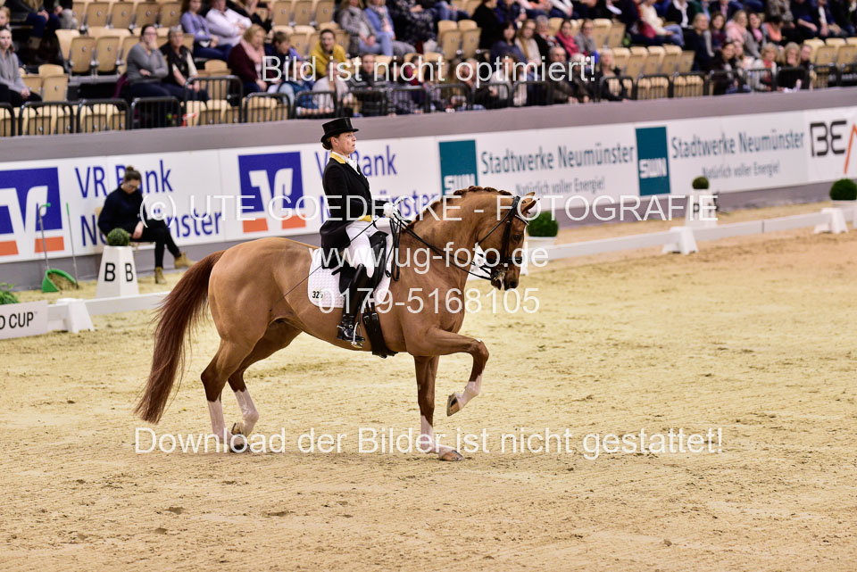Werth,-Isabell---Quintus_02.jpg