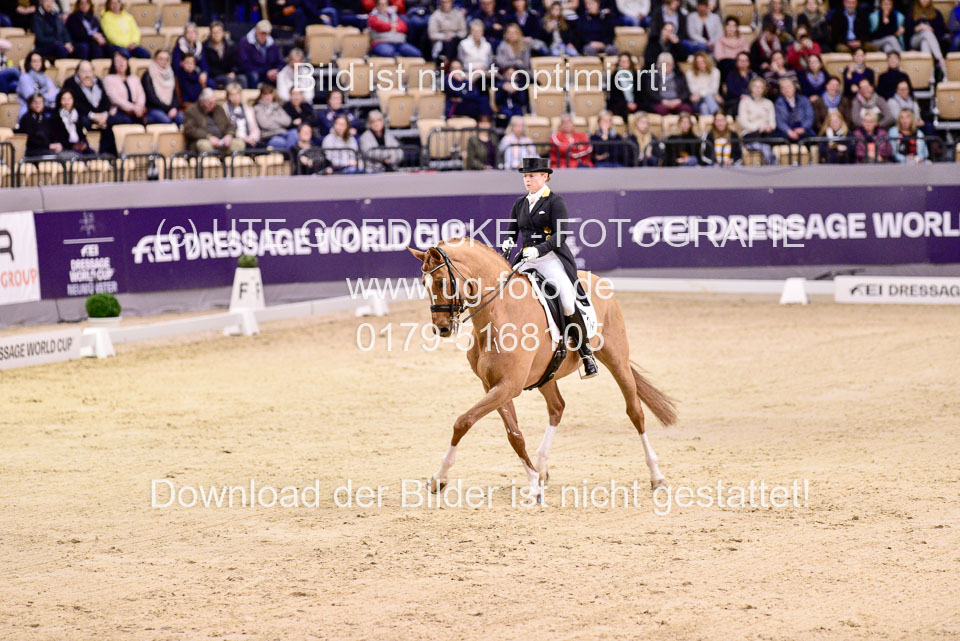 Werth,-Isabell---Quintus_07.jpg