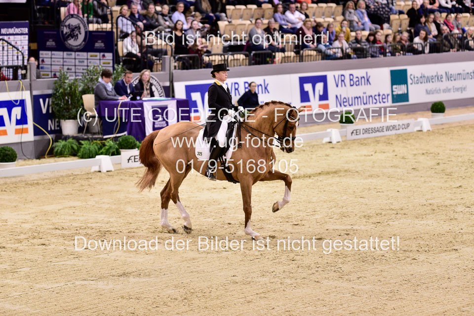 Werth,-Isabell---Quintus_08.jpg