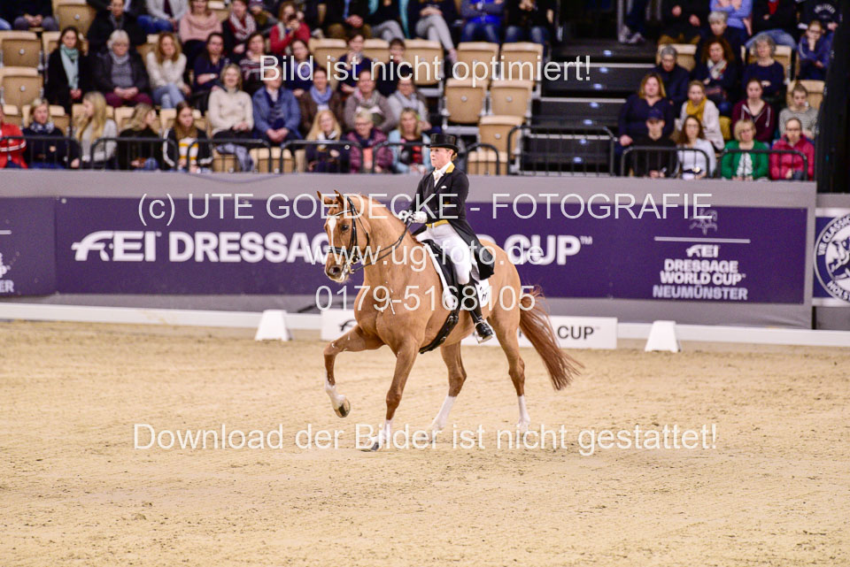 Werth,-Isabell---Quintus_10.jpg