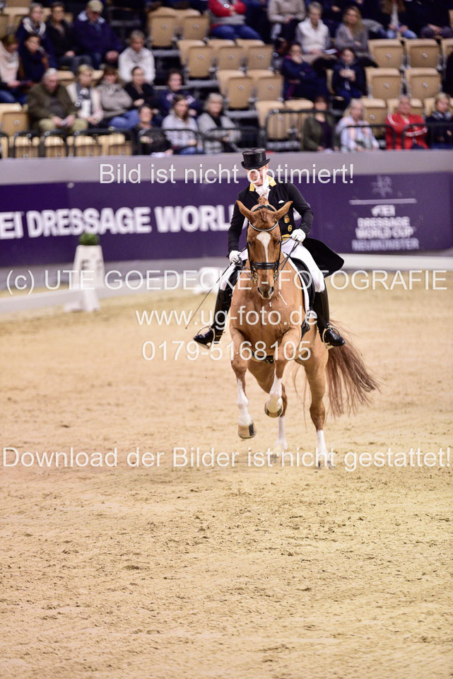 Werth,-Isabell---Quintus_12.jpg