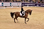 Schürmann,-Charlott-Maria---Burlington_05.jpg