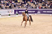 Schürmann,-Charlott-Maria---Burlington_10.jpg