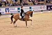 Werth,-Isabell---Quintus_01.jpg
