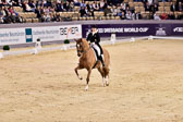 Werth,-Isabell---Quintus_04.jpg