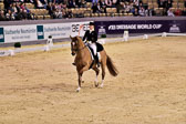 Werth,-Isabell---Quintus_05.jpg