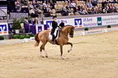Werth,-Isabell---Quintus_08.jpg