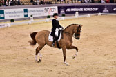 Werth,-Isabell---Quintus_09.jpg