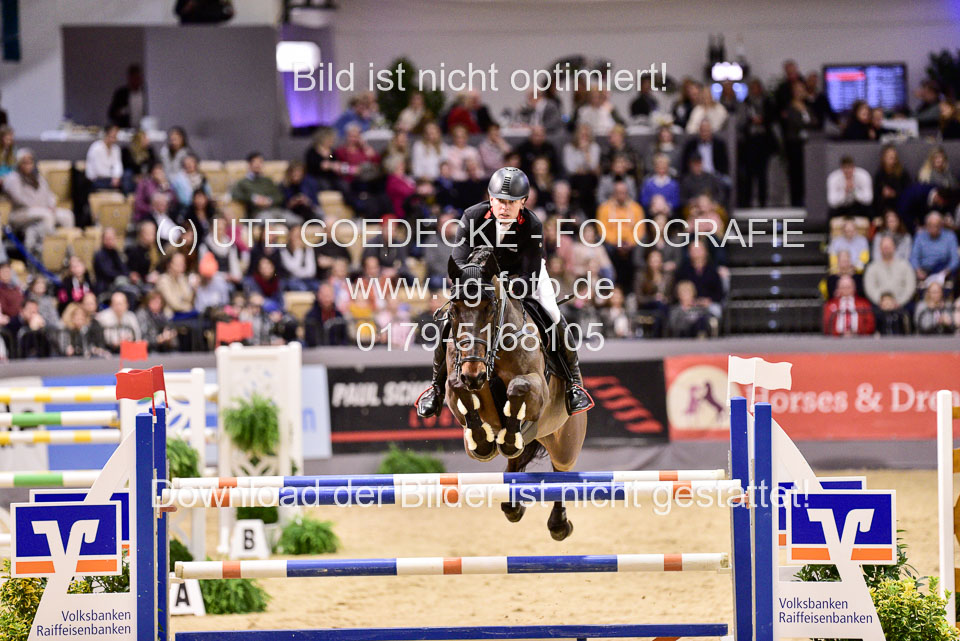 brinkmann,-Markus---Pikeur-Dylon_3.jpg