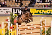 Youngster Quali