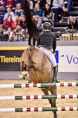 Rieskamp-Goedeking,-Tim---Special-Enjoy_4.jpg