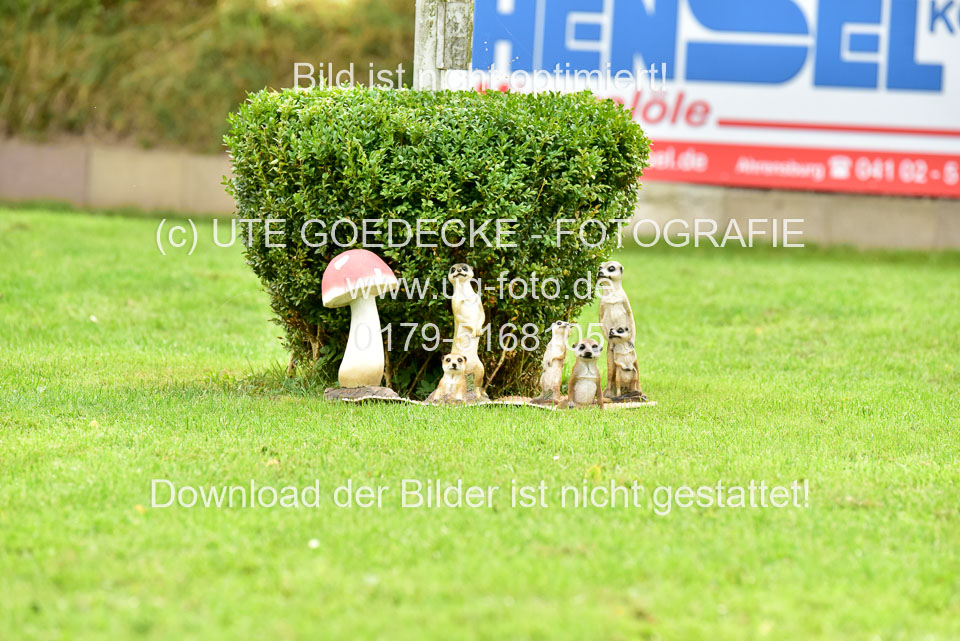 120920---E-Springen-_031.jpg