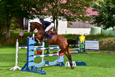 120920---M-Springen_10.jpg