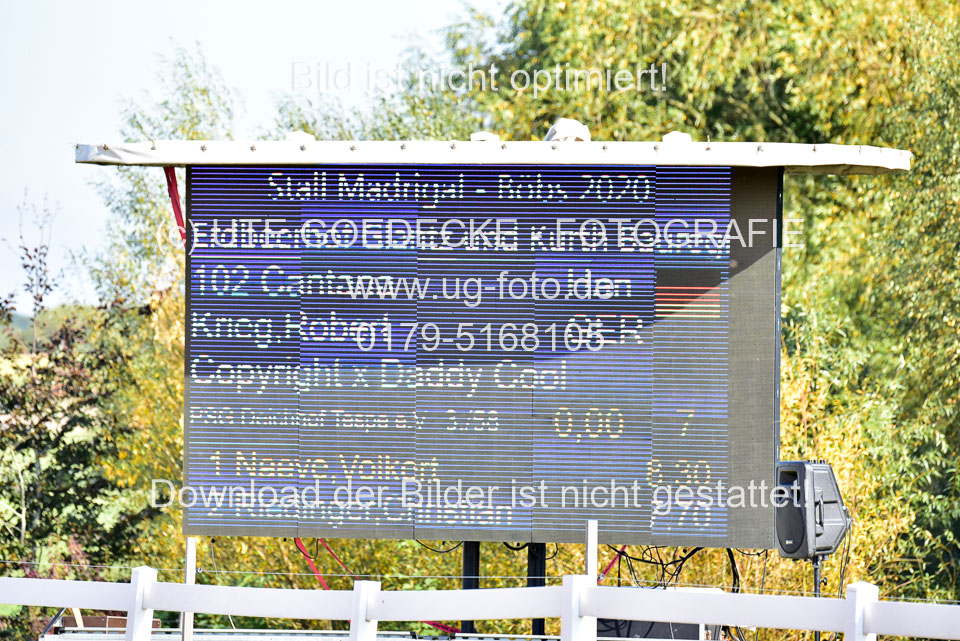011020---Springpferde-L_007.jpg