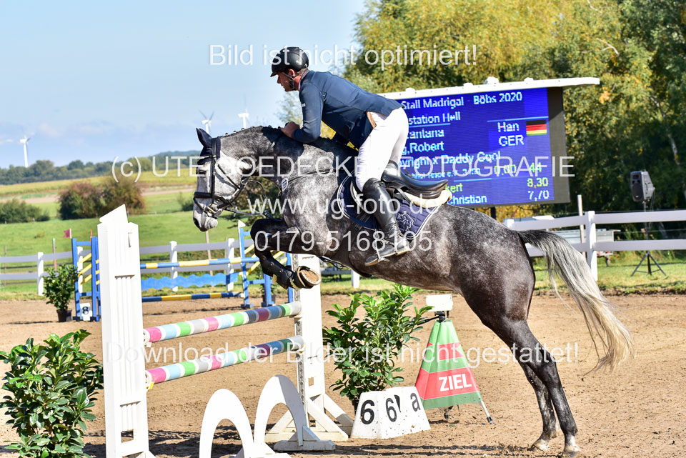 011020---Springpferde-L_008.jpg