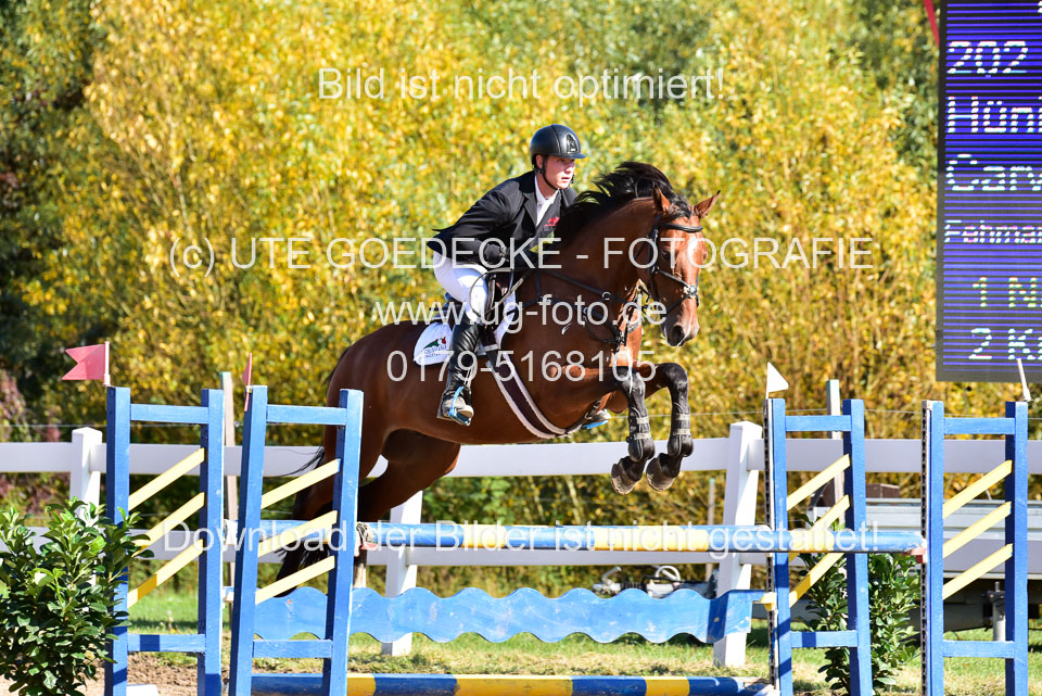 011020---Springpferde-L_014.jpg