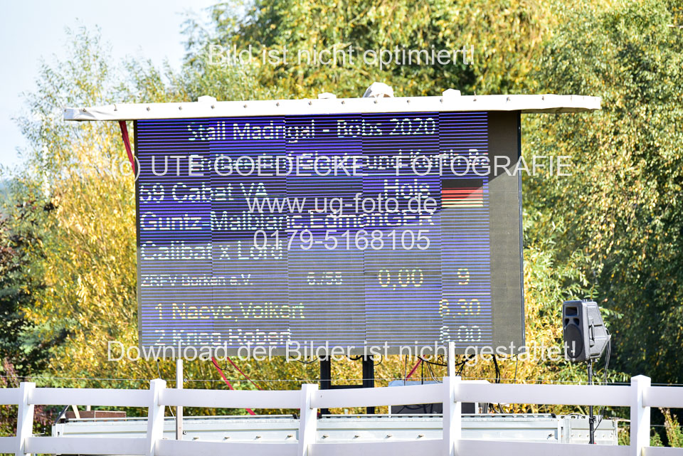 011020---Springpferde-L_016.jpg