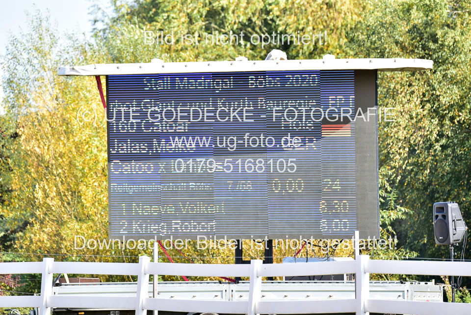 011020---Springpferde-L_018.jpg