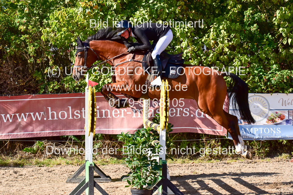 011020---Springpferde-L_021.jpg