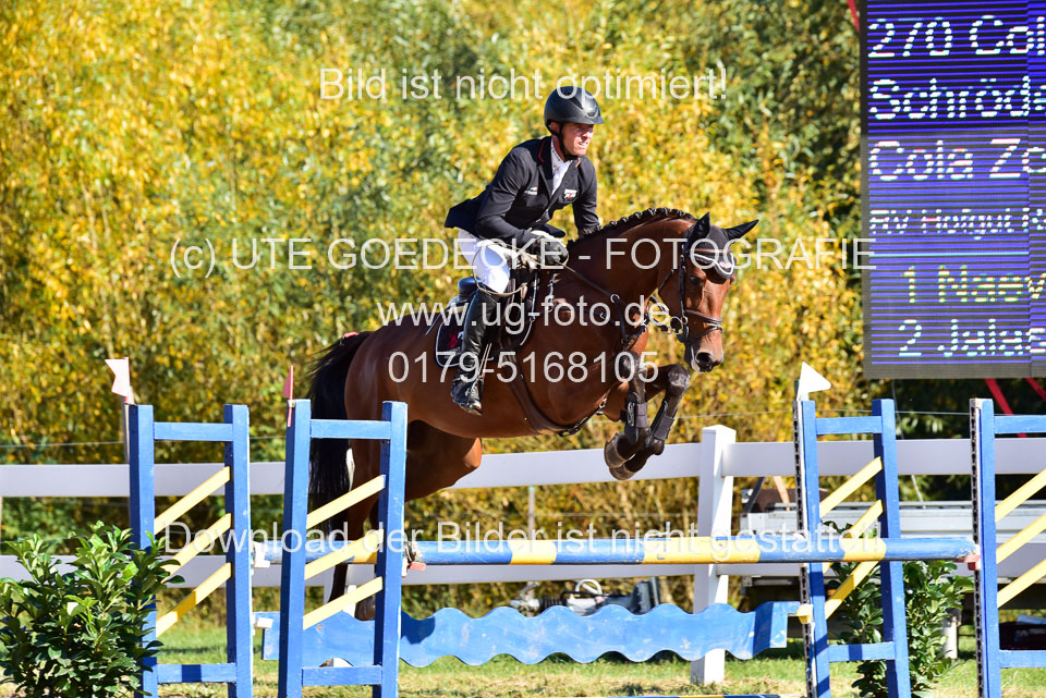 011020---Springpferde-L_030.jpg