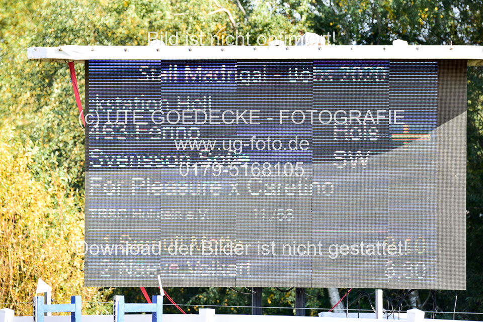 011020---Springpferde-L_032.jpg