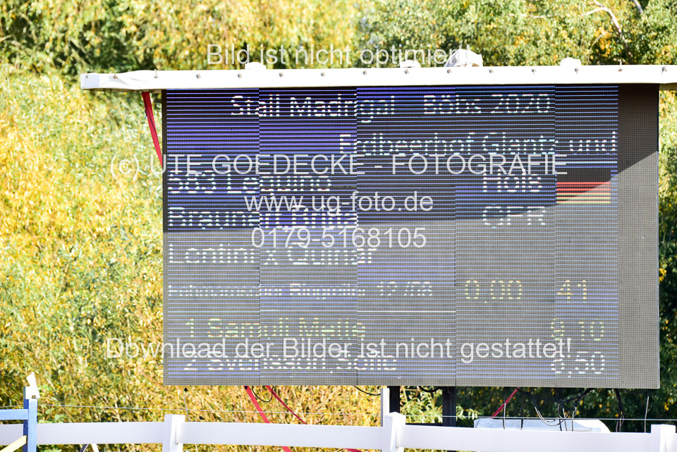 011020---Springpferde-L_035.jpg