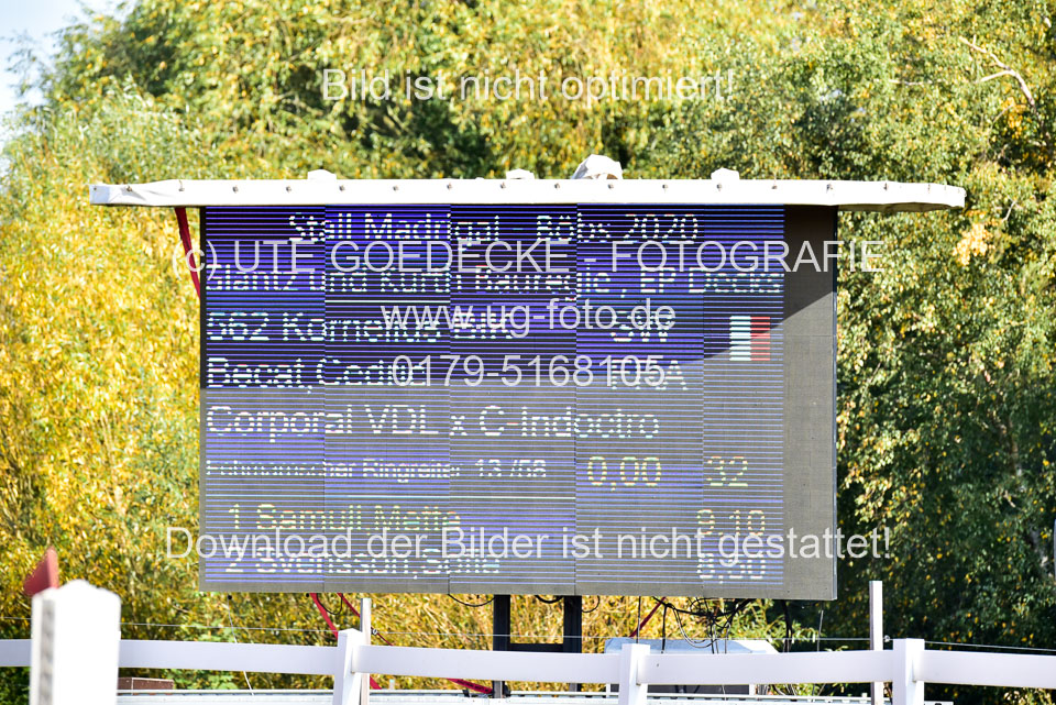 011020---Springpferde-L_037.jpg