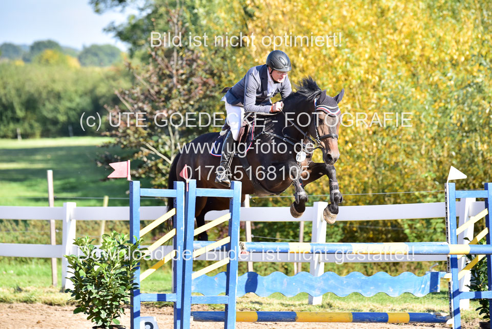 011020---Springpferde-L_045.jpg