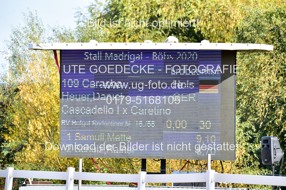 011020---Springpferde-L_046.jpg